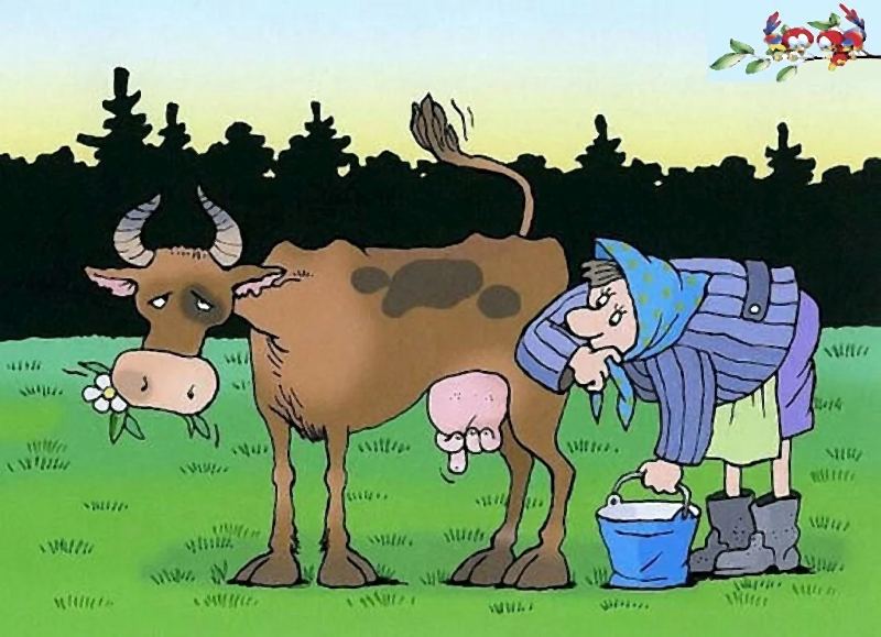 корова не дает молоко карикатура