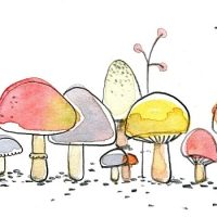 Анекдот для любителей грибной охоты