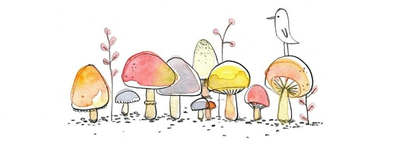Анекдот для любителей грибной охоты, грибочки или месть тещи!